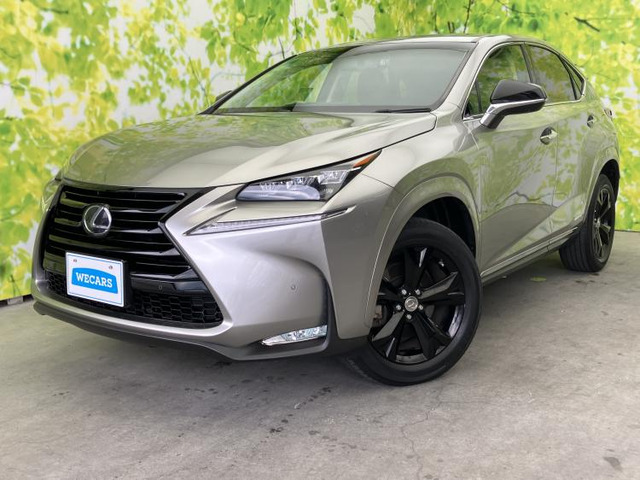 NX 300h アーバンスタイル