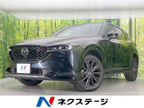 純正10型ナビ 全周囲カメラ 衝突被害軽減システム レーダークルーズ