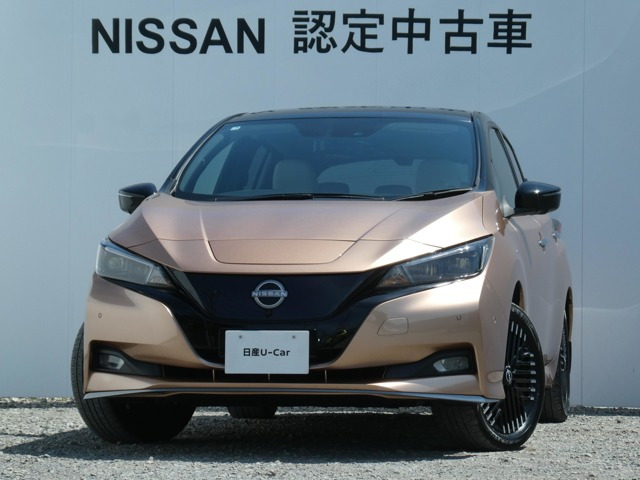 リーフ e+ G