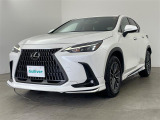 NX 250 本革シート サンルーフ