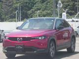 車に乗るために駐車場へ行くと、この姿が待っている・・・理想の環境だと思います。