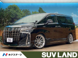 ツインムーンルーフ モデリスタエアロ 後席モニター 寒冷地仕様 ETC