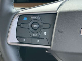 プロパイロット搭載車です。高速道路や自動車専用道路での運転サポート機能です。長距離ドライブ時に重宝します。