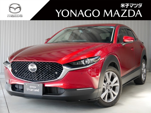 CX-30 2.0 20S プロアクティブ ツーリングセレクション 4WD