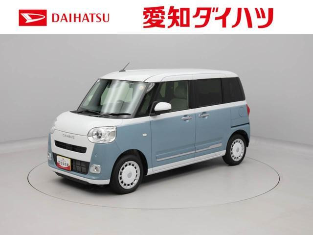 ムーヴキャンバス  ストライプス G