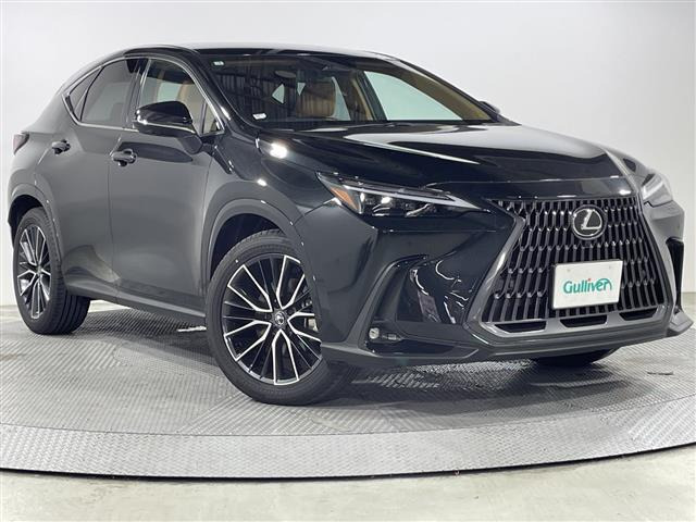 NX 250 バージョンL 本革シート 修復歴無し