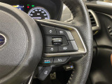 【追従機能付クルーズコントロール(ACC)】前車に追従しながら、速度まで合わせてくれるすぐれもの。機能には限界があるためご注意ください。