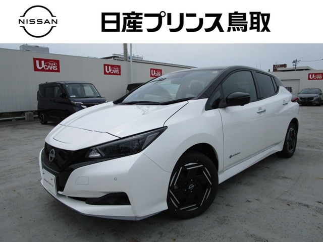 リーフ e+ X 