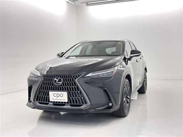 NX 250 バージョンL NX 250 バージョンL