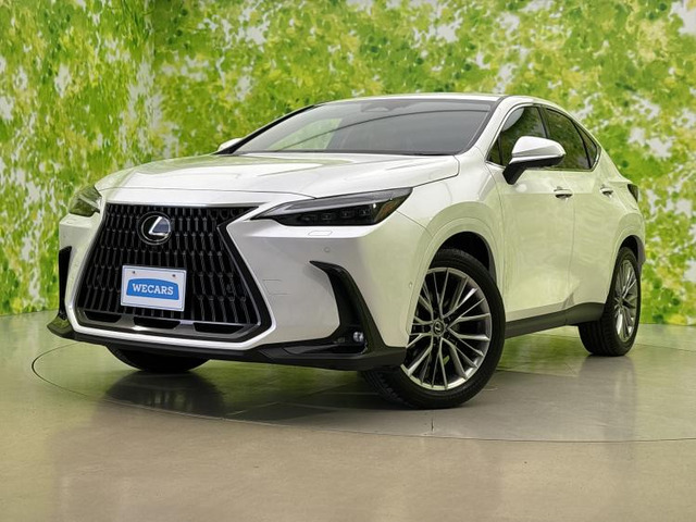 NX 350h バージョンL 