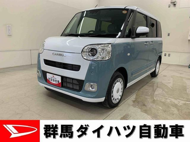 ムーヴキャンバス  ストライプス G