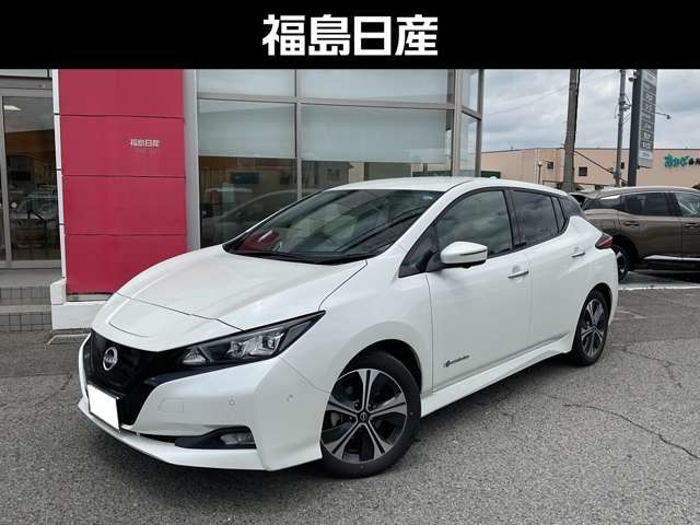 リーフ G
