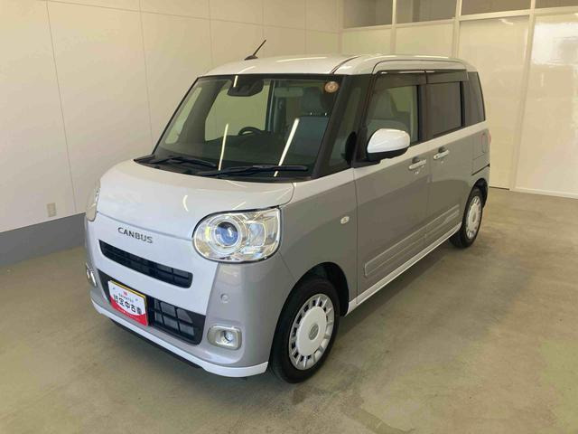ムーヴキャンバス  ストライプス G