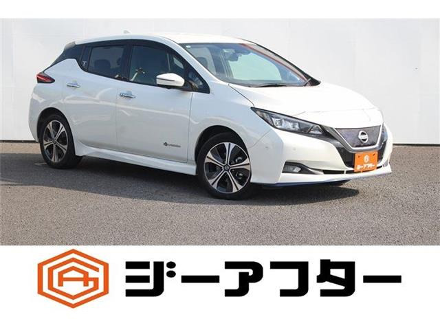 リーフ e+ G 