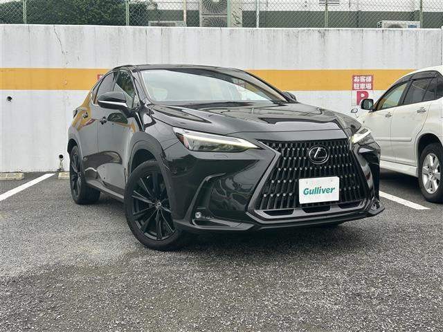 NX 250 バージョンL 本革シート サンルーフ