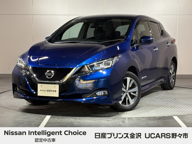 リーフ e+ X