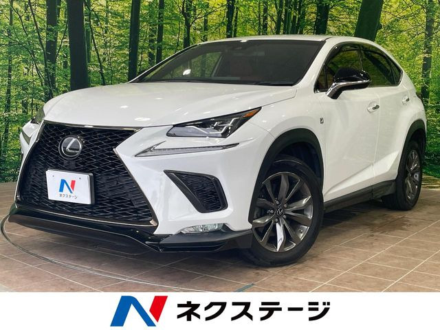 NX 300 Fスポーツ 
