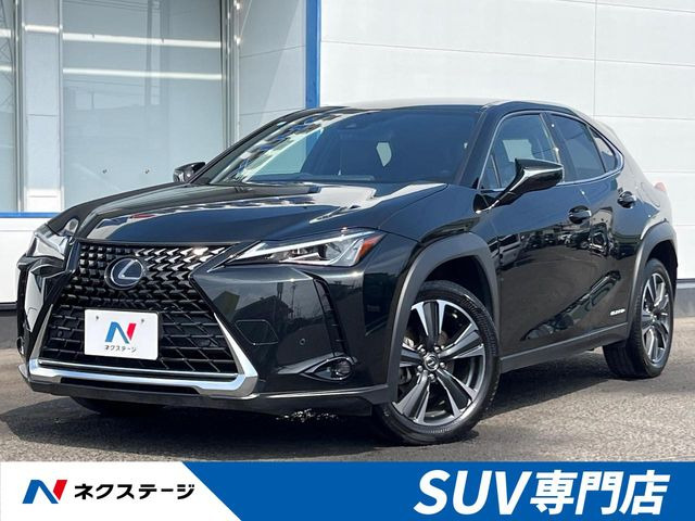 UX 250h バージョンC 