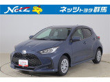 弊社近隣の1都9県(群馬・栃木・茨城・埼玉・東京・神奈川・千葉・新潟・長野・山梨)のお客様への販売に限定させて頂いております。また、ご来店いただけるお客様に限らせて頂きます。