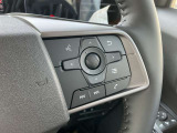ステアリングスイッチディスプレイ設定・オーディオ等走行中でもハンドルから手を離すことなく、オーディオの操作が出来ます。