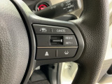 先進の安全運転支援システム、HondaSENSINGのスイッチ類。