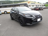 NX 300h 