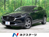 禁煙車 純正ナビ 全周囲カメラ 衝突被害軽減システム レーダークルーズ