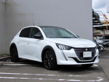 e-208 GT 