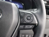 レーダークルーズコントロール作動時に車線維持に必要な運転操作の支援を行う「レーントレーシングアシスト(LTA)」を搭載しています。