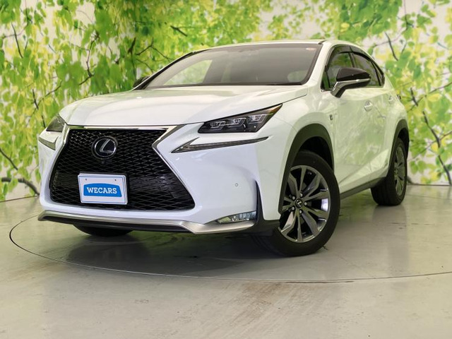NX 300h Fスポーツ