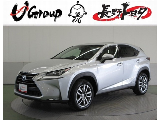 NX 300h 4WD 