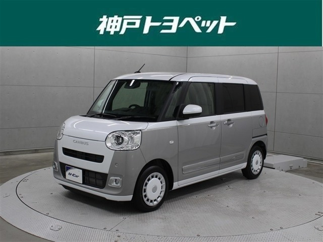 ムーヴキャンバス  ストライプス G