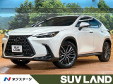 サンルーフ 14型ナビ 全周囲カメラ デジタルインナーミラー AC100