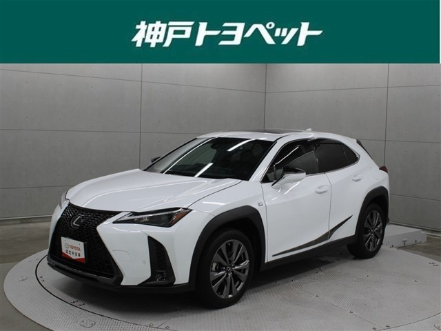 UX 250h Fスポーツ