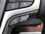 レーダークルーズコントロール作動時に車線維持に必要な運転操作の支援を行う「レーントレーシングアシスト(LTA)」を搭載しています。