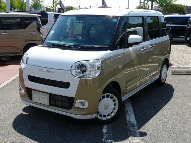 ムーヴキャンバス  ストライプス G