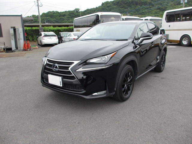 NX 300h 