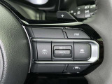 クルーズコントロール機能が付いています。 速度を設定するとアクセルを踏まなくても一定の速度で走ることができます。  高速道路ではとても便利な装置なんです。