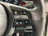 クルーズコントロールを装備しています。高速道路などで一定の速度で走ってくれるので運転が楽ですよ!速度を設定できますので、スピードの出しすぎにも注意できます。