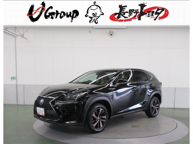 NX 200t Iパッケージ 