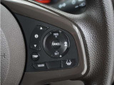 ◆アダプティブクルーズコントロール◆予め設定した車速内でクルマが自動的に加減速。前走車との適切な車間距離を維持しながら追従走行します。【LKAS】車線維持支援システムでステアリング操作を支援。