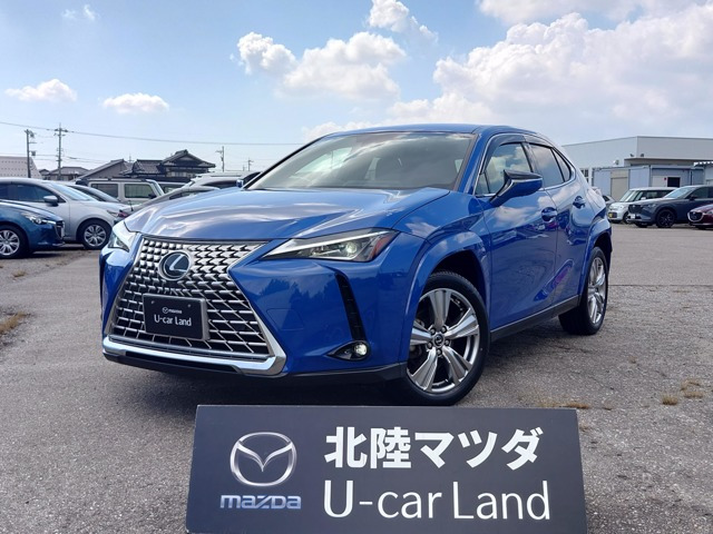 UX 250h グレイスフル エクスプローラー