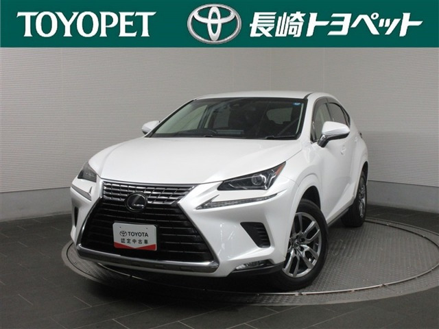 NX 300h