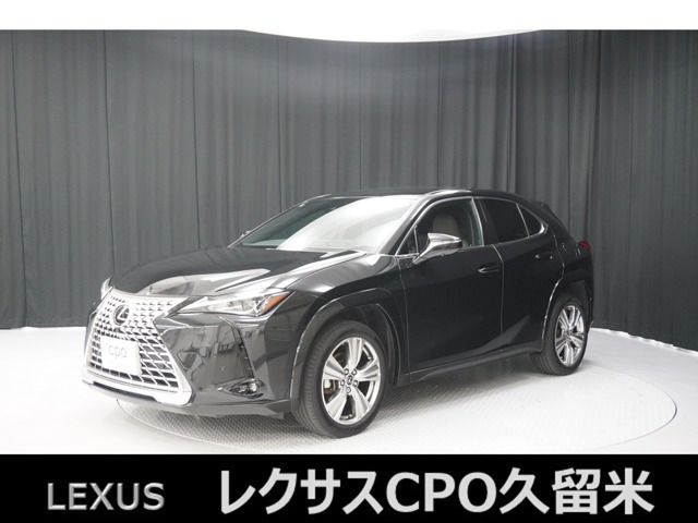 UX 250h グレイスフル エクスプローラー