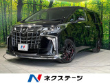 衝突軽減 デジタルインナーミラー ブラインドスポットモニター