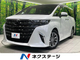 14型ナビ ガラスルーフ 両側電動ドア 全周囲カメラ シートエアコン