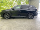 NX 250 