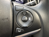 HondaSENSINGの機能のスイッチです。高速道路で活躍するオートクルーズやレーンキープシステムを操作します