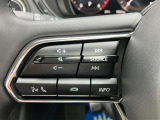 オーディオの音量などはハンドルのスイッチでわき見することなく安全に操作することができます。