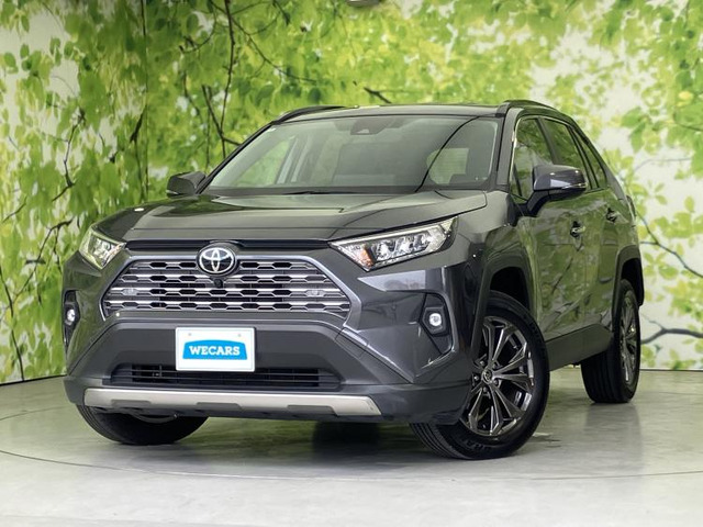RAV4 2.0 G 4WD